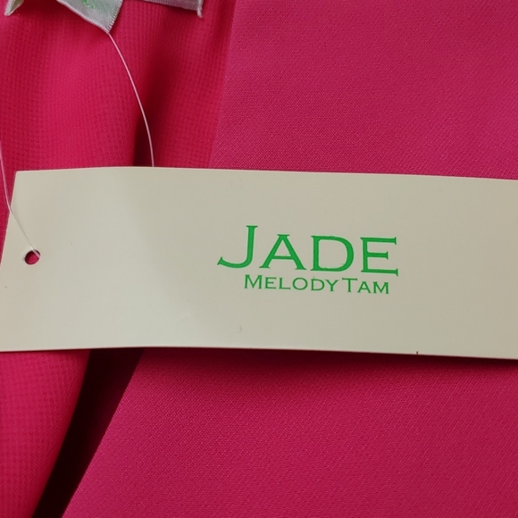 NWT Jade puff sleeve, ruffle hem dress - Picture 10 of 11